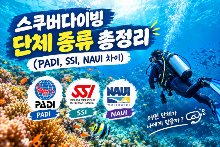 스쿠버다이빙 단체 종류 총정리