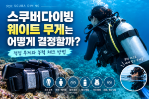 스쿠버다이빙 웨이트 무게 결정법