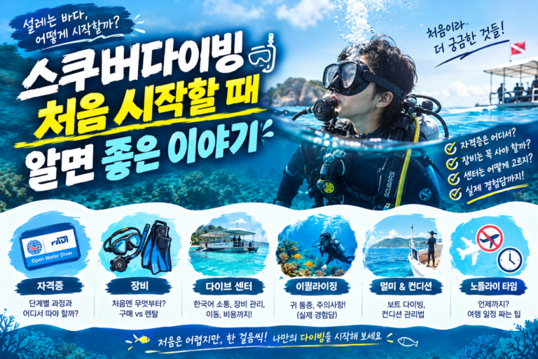 스쿠버다이빙 입문 가이드 인포그래픽