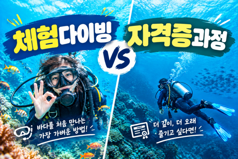 체험다이빙 VS 자격증과정